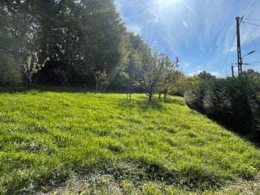 Terrains de loisirs bois etangs a vendre Saint-Ulphace 72320 Sarthe 1460 m2  12000 euros