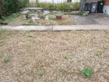 Maison a vendre Le Controis-en-Sologne 41700 Loir-et-Cher 57 m2 3 pièces 109240 euros