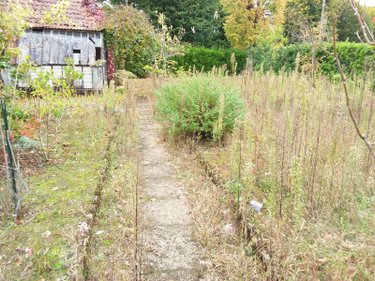 Maison a vendre Le Controis-en-Sologne 41700 Loir-et-Cher 57 m2 3 pièces 109240 euros