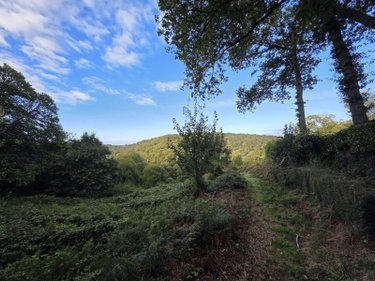 Terrains de loisirs bois etangs a vendre Kernével 29140 Finistère 226898 m2  128000 euros