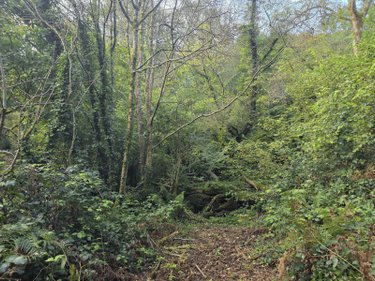 Terrains de loisirs bois etangs a vendre Kernével 29140 Finistère 226898 m2  128000 euros