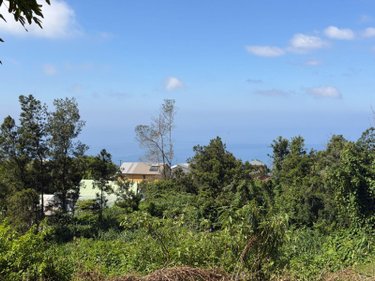 Terrain a batir a vendre Les Avirons 97425 Réunion 1507 m2  118100 euros