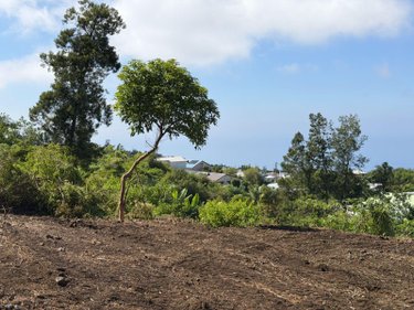 Terrain a batir a vendre Les Avirons 97425 Réunion 1507 m2  118100 euros