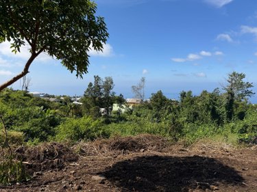 Terrain a batir a vendre Les Avirons 97425 Réunion 1507 m2  118100 euros