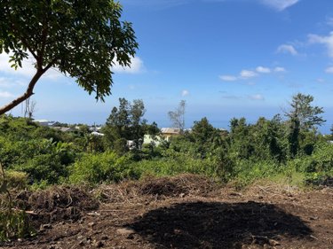Terrain a batir a vendre Les Avirons 97425 Réunion 1507 m2  118100 euros