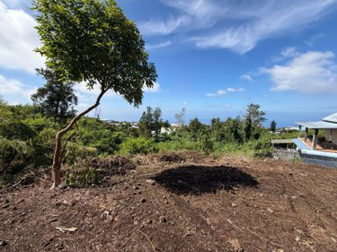 Terrain a batir a vendre Les Avirons 97425 Réunion 1507 m2  118100 euros