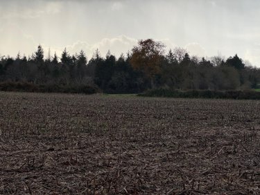 propriete a vendre Coat-Méal 29870 Finistère 80 m2 4 pièces 172525 euros