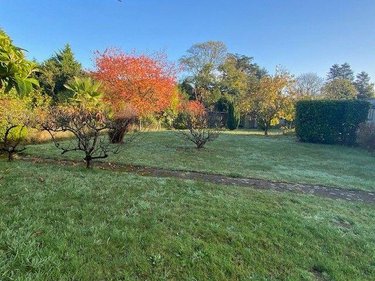 Maison a vendre Plouha 22580 Côtes-d'Armor 89 m2 4 pièces 240800 euros