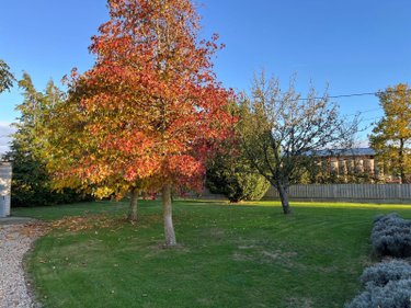 Maison a vendre Saint-Aubin-des-Hayes 27410 Eure 132 m2 6 pièces 235500 euros