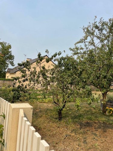 Terrain a batir a vendre Donges 44480 Loire-Atlantique 521 m2  95000 euros