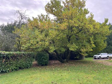 Maison a vendre Briec 29510 Finistère 130 m2 7 pièces 210000 euros