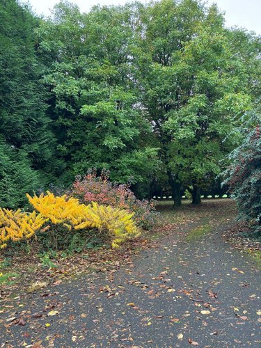 Maison a vendre Briec 29510 Finistère 130 m2 7 pièces 210000 euros