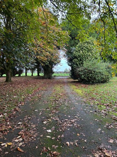 Maison a vendre Briec 29510 Finistère 130 m2 7 pièces 210000 euros