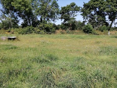 Terrain a batir a vendre Gouville-sur-Mer 50560 Manche 877 m2  102750 euros