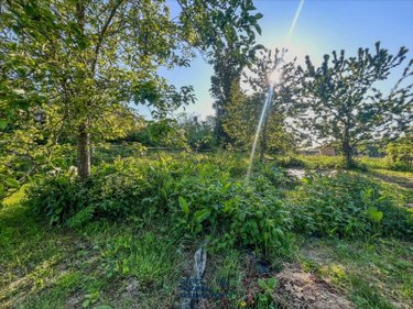 Maison a vendre Saint-Sauveur-Villages 50490 Manche 156 m2 6 pièces 195000 euros