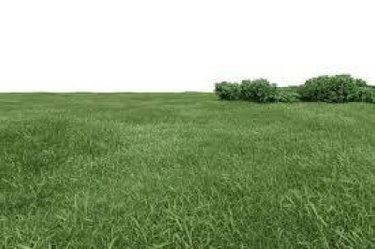 Bien agricole a vendre Saussey 50200 Manche  34520 euros