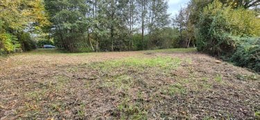 Terrains de loisirs bois etangs a vendre Sillé-le-Philippe 72460 Sarthe 2420 m2  17640 euros