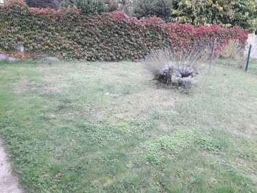 Maison a vendre Thésée 41140 Loir-et-Cher 71 m2 3 pièces 116450 euros