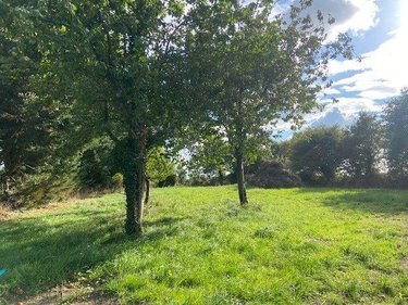 Terrain a batir a vendre Ruffigné 44660 Loire-Atlantique 1460 m2  24280 euros