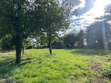 Terrain a batir a vendre Ruffigné 44660 Loire-Atlantique 1460 m2  24280 euros