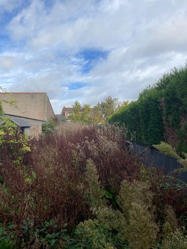 Maison a vendre Bailleul 59270 Nord 78 m2 4 pièces 199500 euros