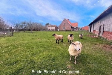 Maison a vendre Bollezeele 59470 Nord 130 m2 4 pièces 335000 euros