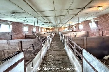 Maison a vendre Bollezeele 59470 Nord 130 m2 4 pièces 335000 euros