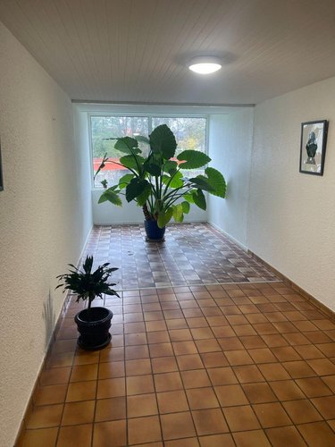 Appartement a vendre Le Mans 72000 Sarthe 64 m2 4 pièces 101650 euros