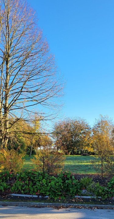 Terrain a batir a vendre Autremencourt 02250 Aisne 1517 m2  31000 euros