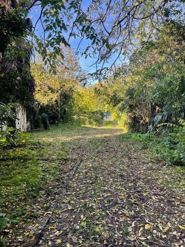 Maison a vendre Bordeaux 33000 Gironde 133 m2 6 pièces 988000 euros