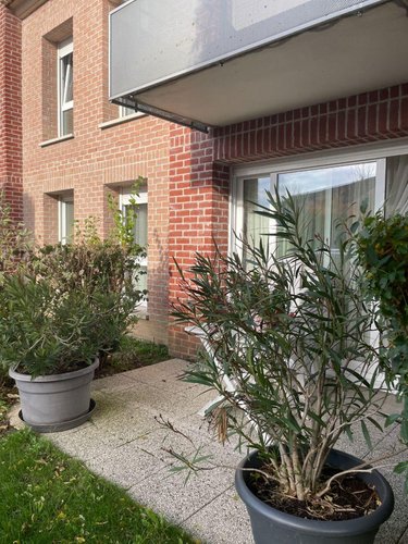 Appartement a vendre Bailleul 59270 Nord 44 m2 2 pièces 131000 euros