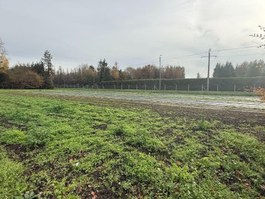 Fonds et murs commerciaux a vendre Saint-Martin-lez-Tatinghem 62500 Pas-de-Calais  466250 euros