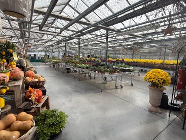 Fonds et murs commerciaux a vendre Saint-Martin-lez-Tatinghem 62500 Pas-de-Calais  466250 euros