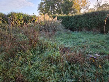 Maison a vendre Cigné 53300 Mayenne 65 m2 3 pièces 74000 euros