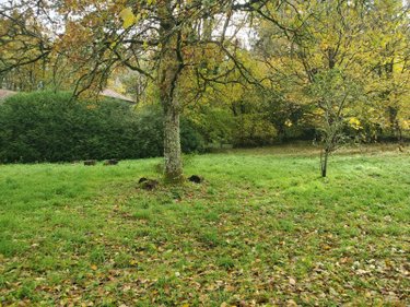 Maison a vendre Sardent 23250 Creuse 90 m2 5 pièces 101760 euros