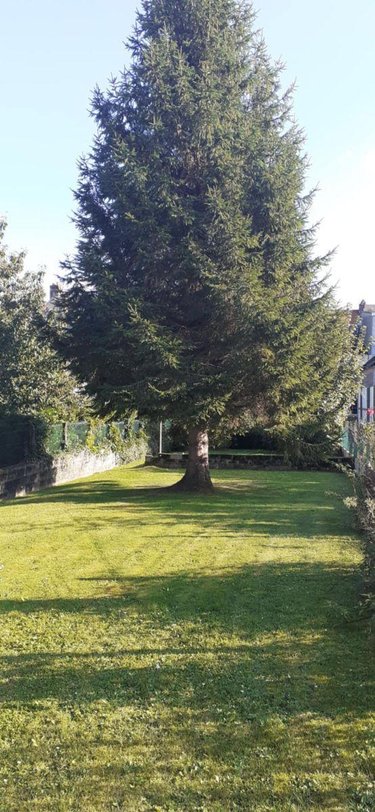 Maison a vendre Eu 76260 Seine-Maritime 95 m2 5 pièces 138000 euros