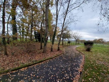 propriete a vendre Balazé 35500 Ille-et-Vilaine 273 m2 10 pièces 714150 euros