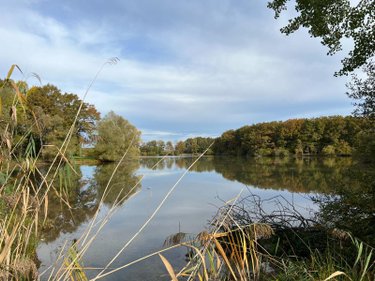 propriete a vendre La Pérouille 36350 Indre 297 m2 8 pièces 871500 euros