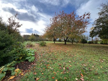 propriete a vendre La Pérouille 36350 Indre 297 m2 8 pièces 871500 euros