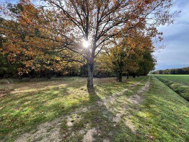 propriete a vendre La Pérouille 36350 Indre 297 m2 8 pièces 871500 euros