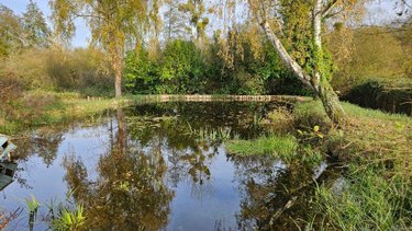 Terrains de loisirs bois etangs a vendre Requeil 72510 Sarthe 3886 m2  20000 euros