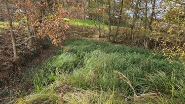 Terrains de loisirs bois etangs a vendre Requeil 72510 Sarthe 3886 m2  20000 euros