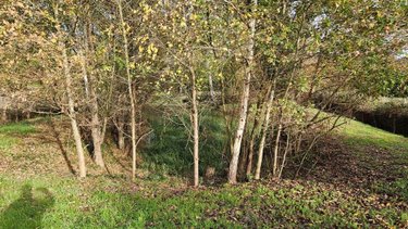 Terrains de loisirs bois etangs a vendre Requeil 72510 Sarthe 3886 m2  20000 euros