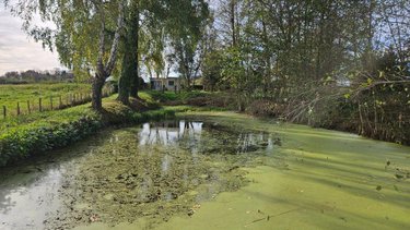 Terrains de loisirs bois etangs a vendre Requeil 72510 Sarthe 3886 m2  20000 euros