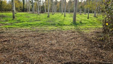 Terrains de loisirs bois etangs a vendre Cérans-Foulletourte 72330 Sarthe 12420 m2  8000 euros