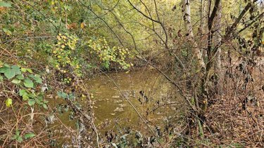 Terrains de loisirs bois etangs a vendre Cérans-Foulletourte 72330 Sarthe 12420 m2  8000 euros