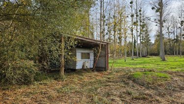 Terrains de loisirs bois etangs a vendre Cérans-Foulletourte 72330 Sarthe 12420 m2  8000 euros