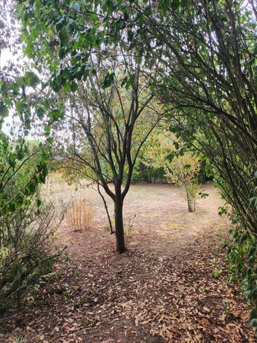 Maison a vendre Dun-sur-Auron 18130 Cher 69 m2 4 pièces 130124 euros