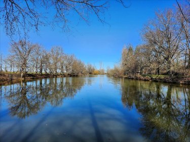 Terrains de loisirs bois etangs a vendre Touchay 18160 Cher 30545 m2  85760 euros