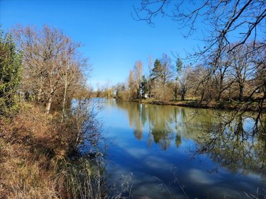 Terrains de loisirs bois etangs a vendre Touchay 18160 Cher 30545 m2  85760 euros